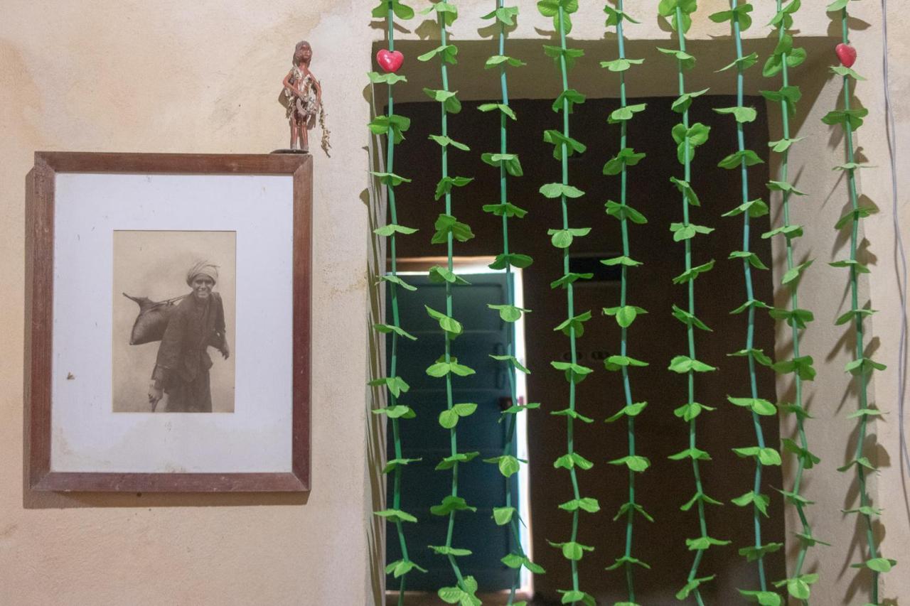 Olive Garden House Siwa Hostel Szíva-oázis Kültér fotó