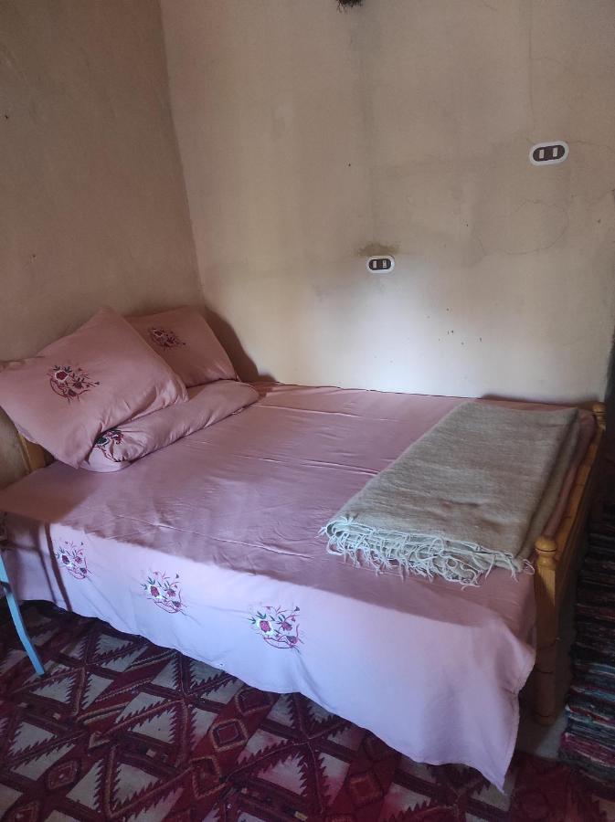 Olive Garden House Siwa Hostel Szíva-oázis Kültér fotó