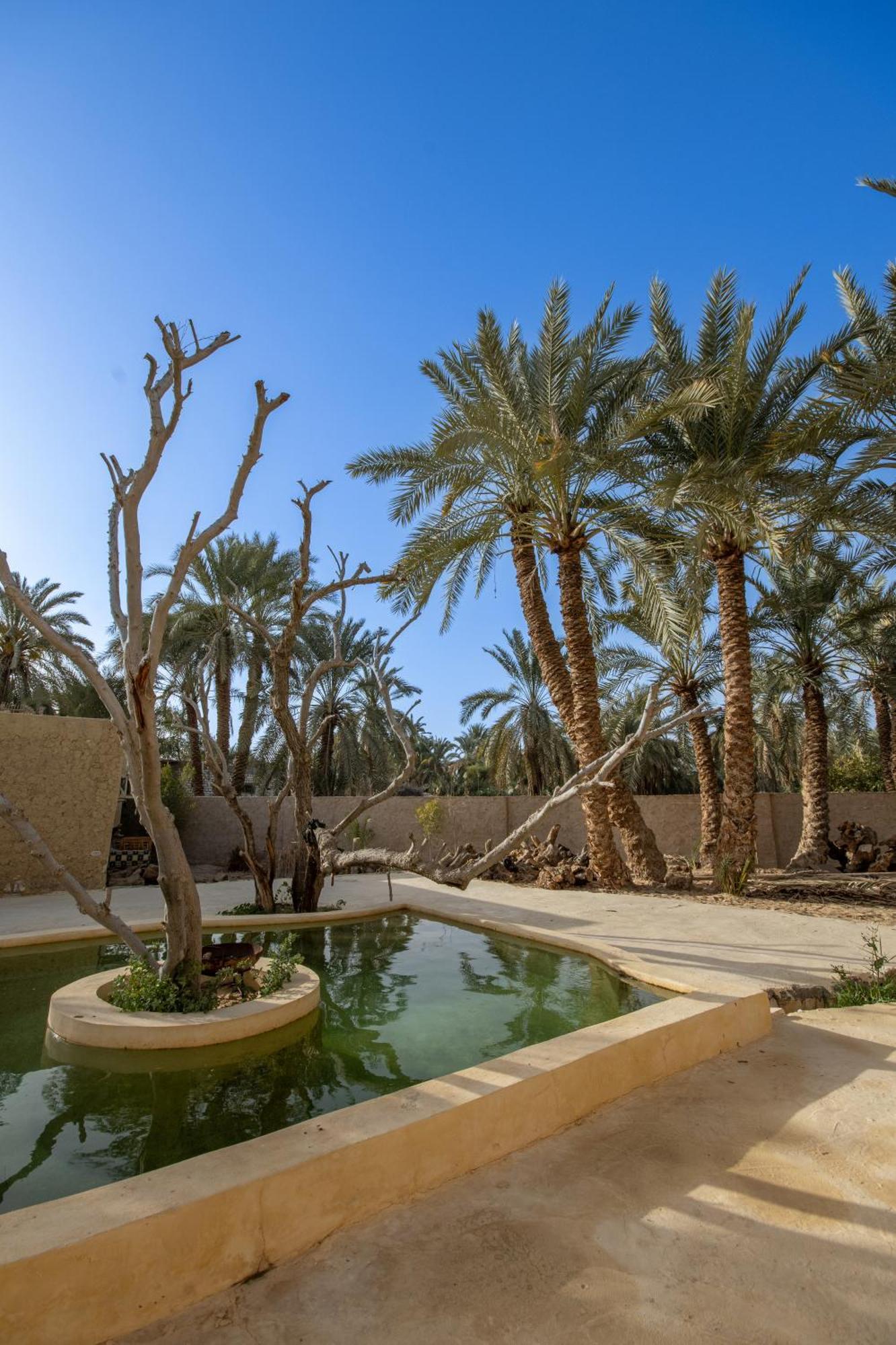 Olive Garden House Siwa Hostel Szíva-oázis Kültér fotó