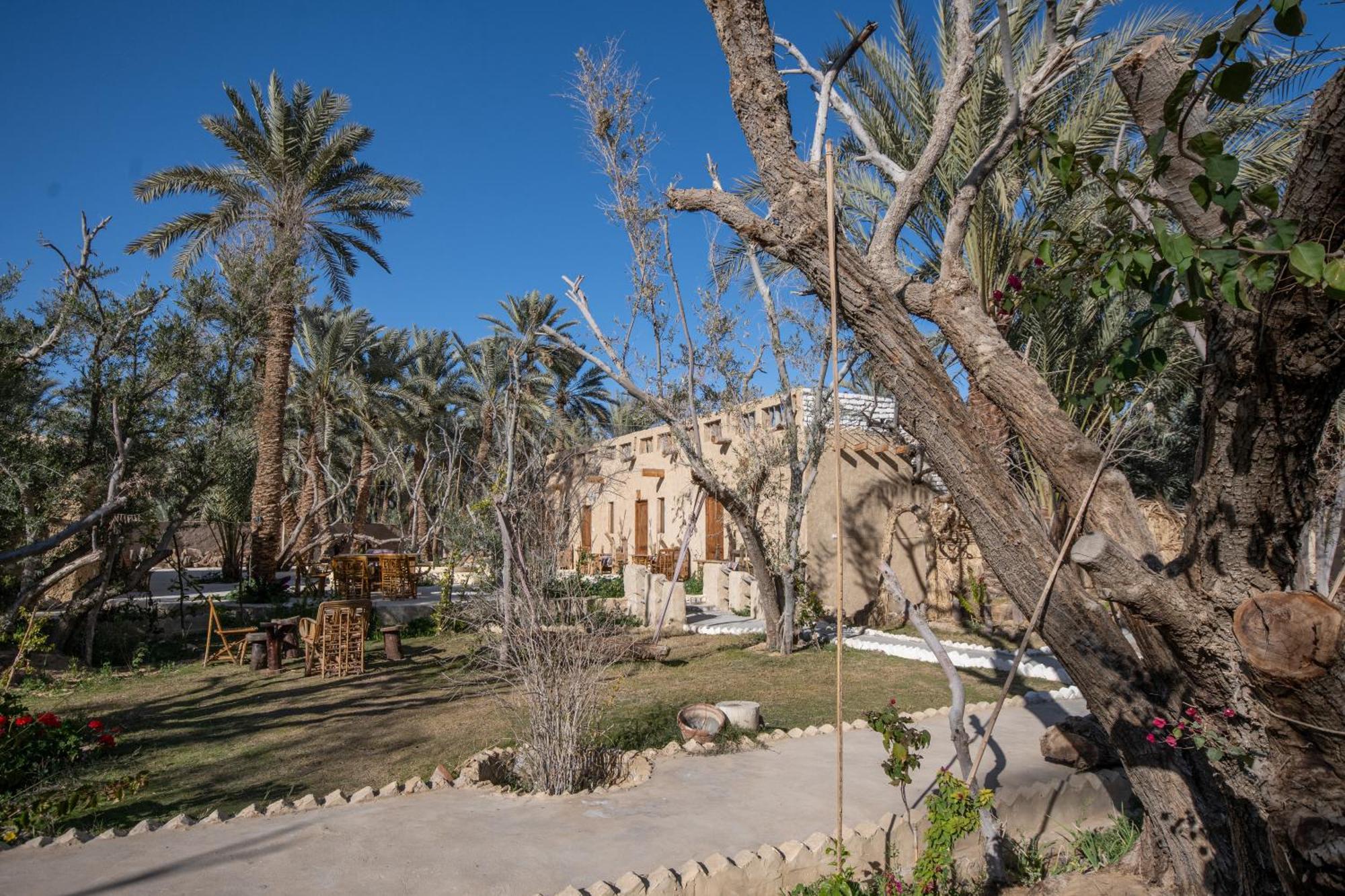 Olive Garden House Siwa Hostel Szíva-oázis Kültér fotó