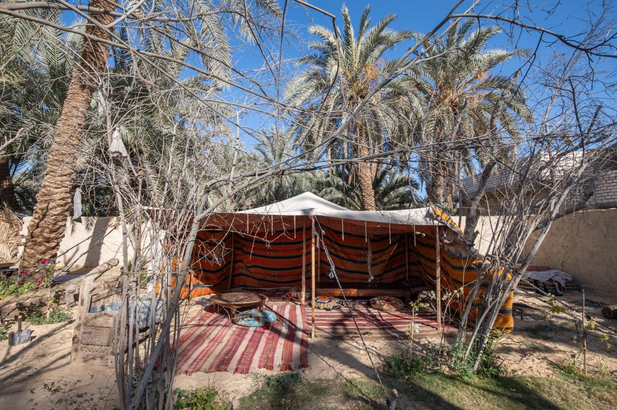 Olive Garden House Siwa Hostel Szíva-oázis Kültér fotó