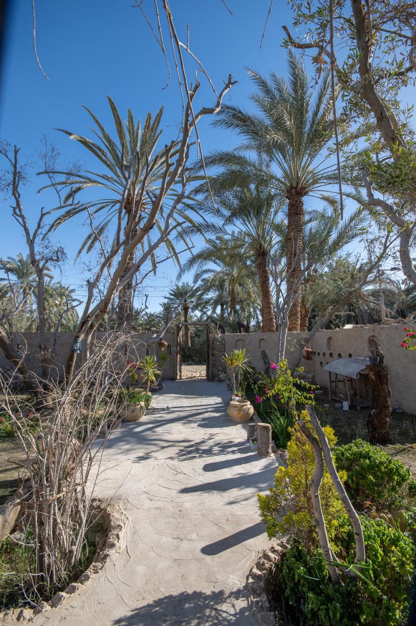 Olive Garden House Siwa Hostel Szíva-oázis Kültér fotó