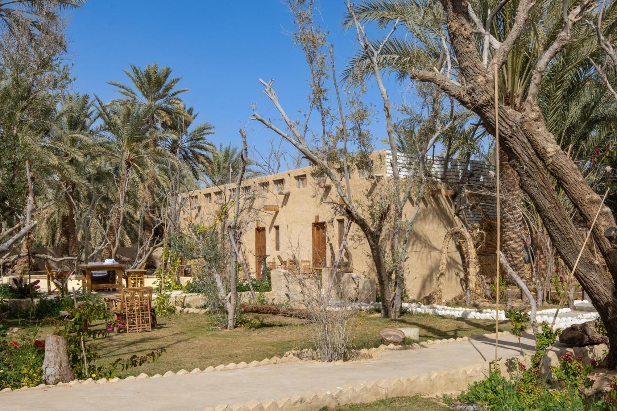 Olive Garden House Siwa Hostel Szíva-oázis Kültér fotó