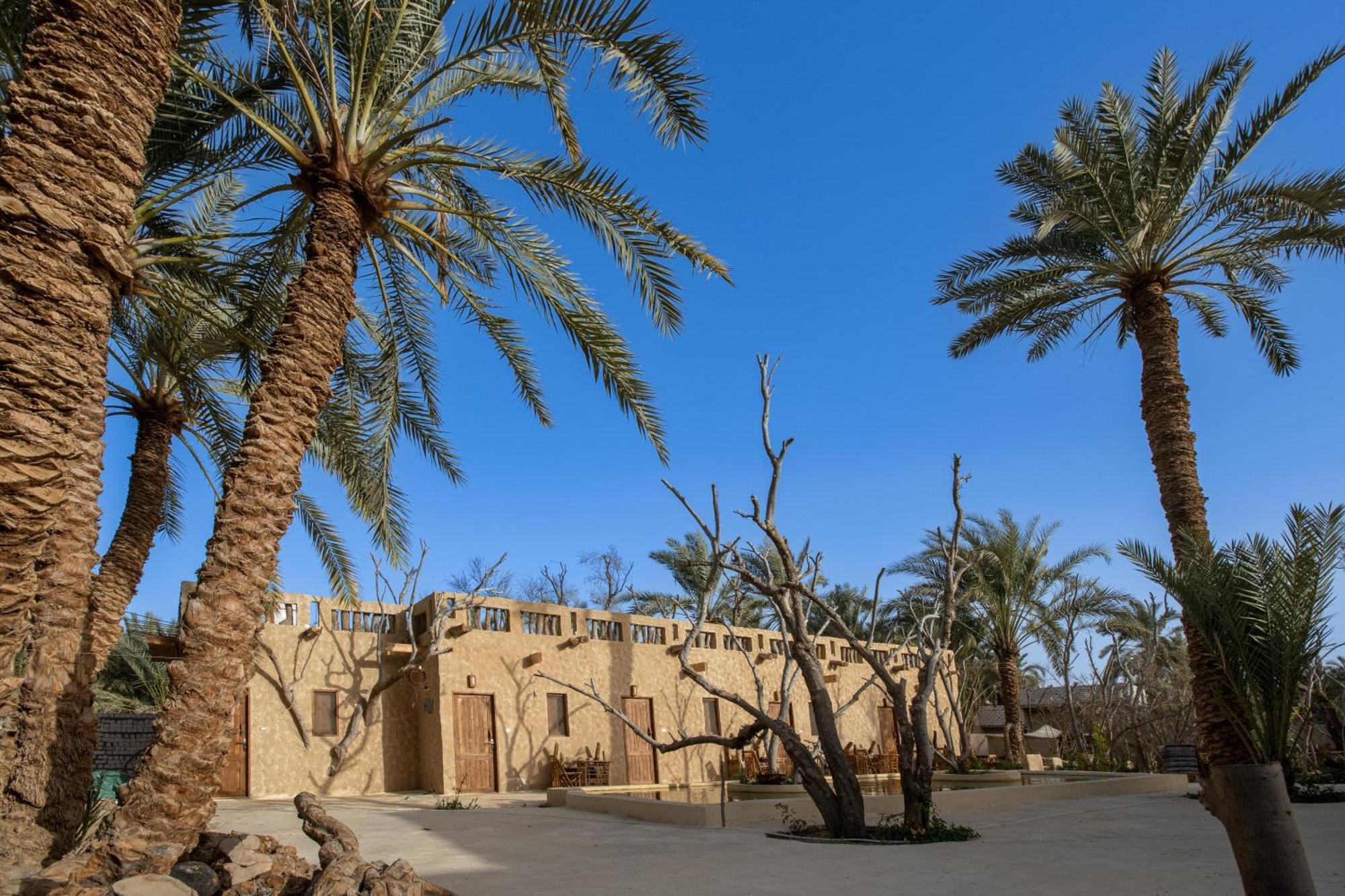 Olive Garden House Siwa Hostel Szíva-oázis Kültér fotó
