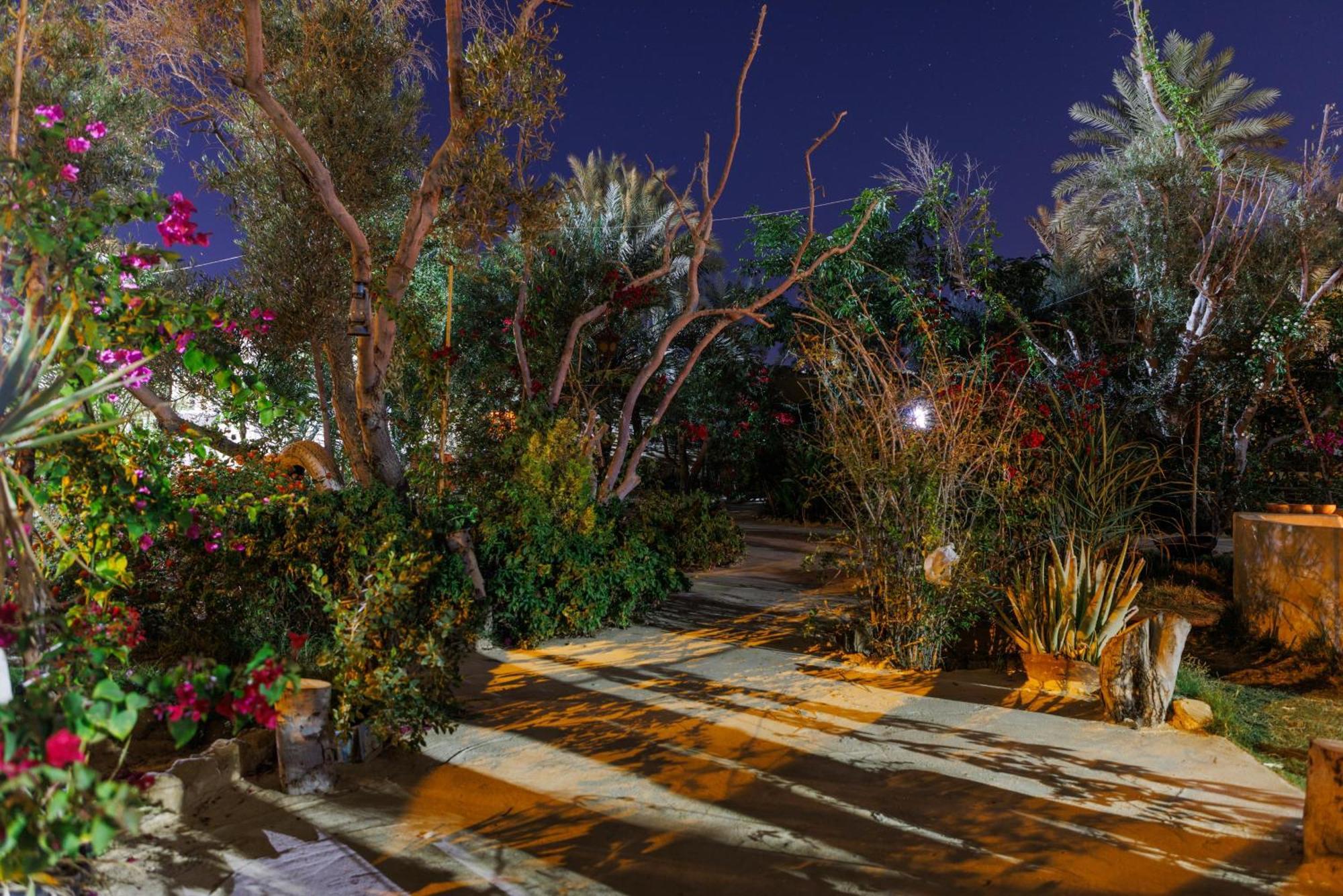 Olive Garden House Siwa Hostel Szíva-oázis Kültér fotó
