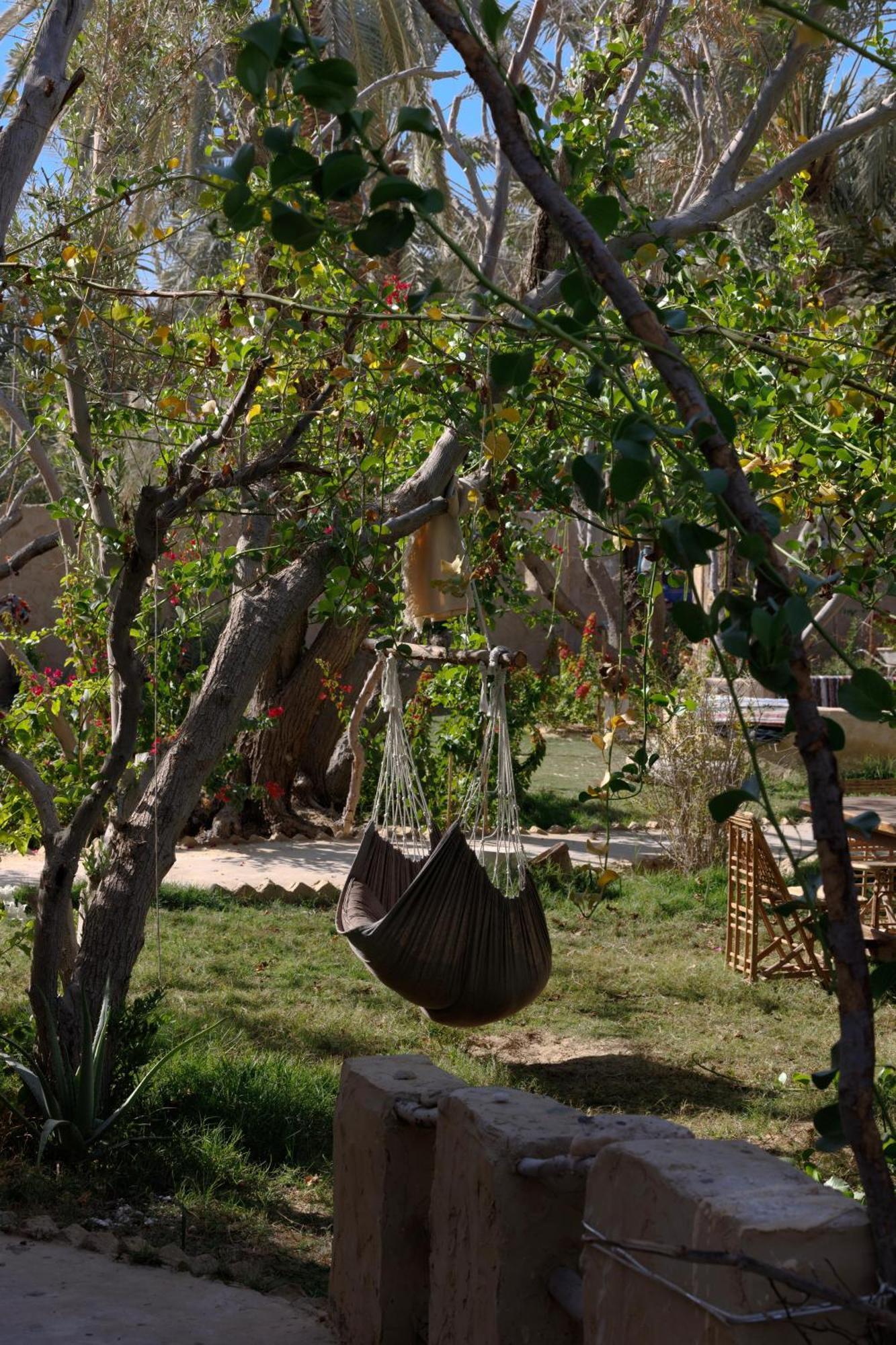 Olive Garden House Siwa Hostel Szíva-oázis Kültér fotó